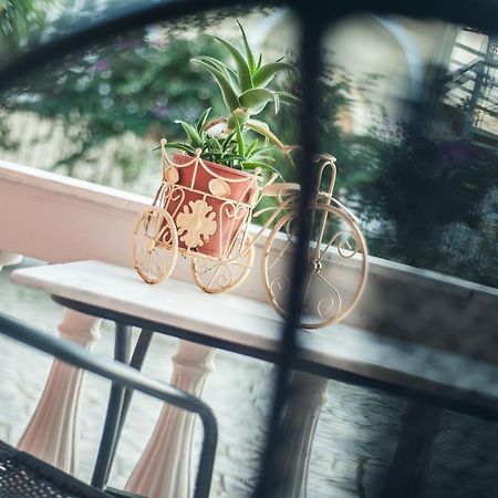 Zante Nest Studios & Apartments อลิกานาส ภายนอก รูปภาพ