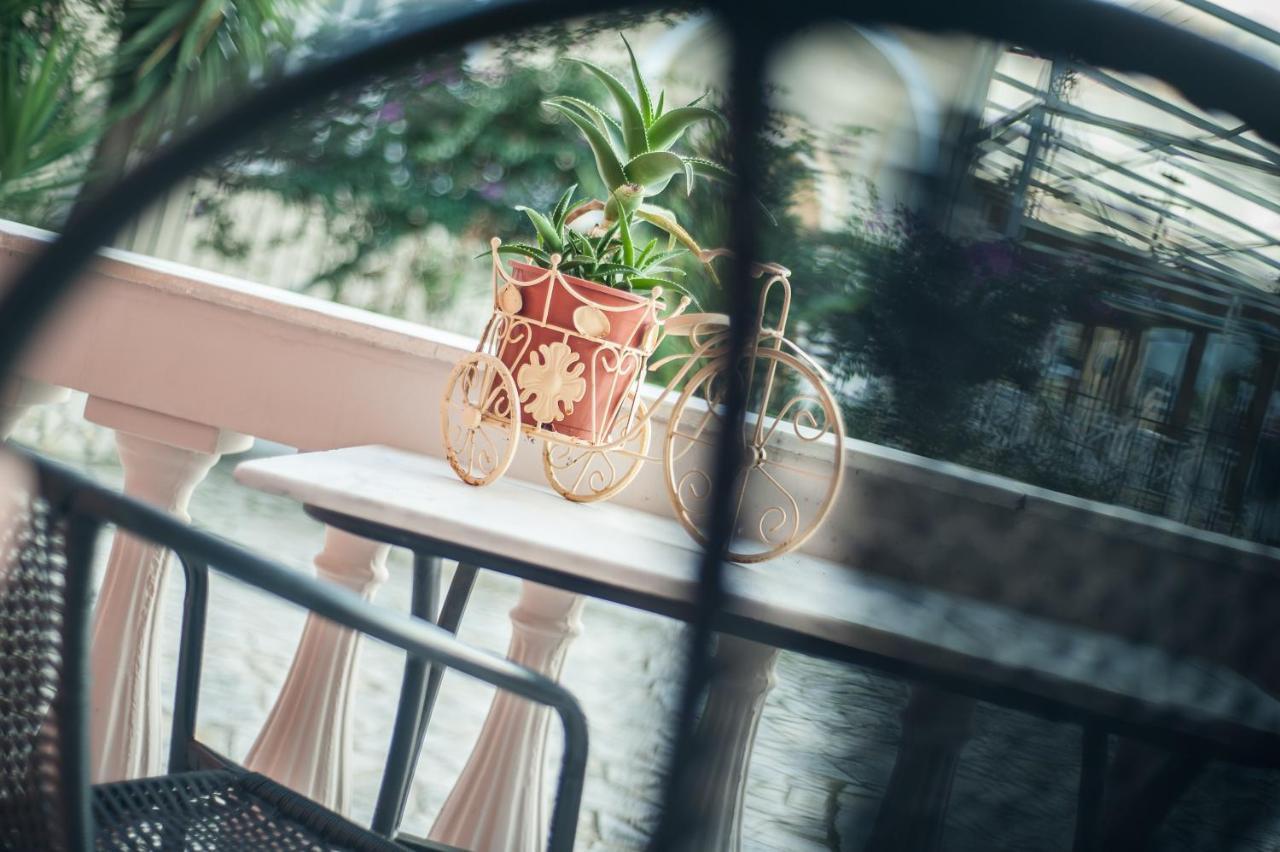 Zante Nest Studios & Apartments อลิกานาส ภายนอก รูปภาพ